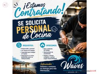 Se solicita personal de cocina