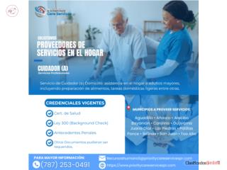 Cuidador (a) A Domicilio de Envejeciente