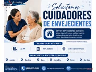 Cuidador (a) A Domicilio de Envejecientes