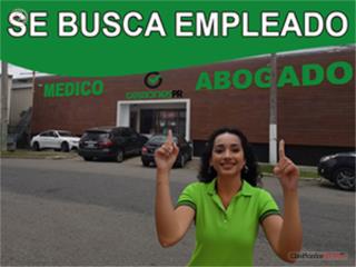 Runner (flagger) - a tiempo completo o parcial