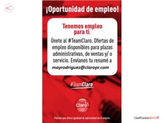 Consultor de Ventas