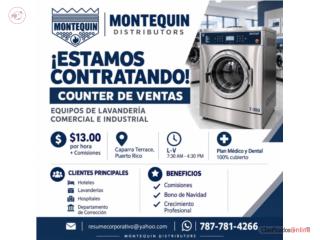 VENDEDOR COUNTER PIEZAS INDUSTRIALES - LAVANDERIA