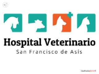 Técnico Veterinario de Farmacia y Laboratorio