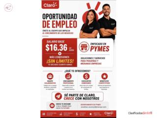 Consultor de Venta Claro