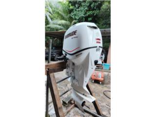 Evinrude 225 e-tec