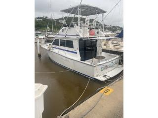 Botes Catalina Flybridge/Bertran runhull Puerto Rico