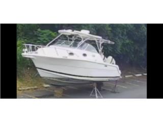 Botes Wellcraft coastal 29 2001 Puerto Rico