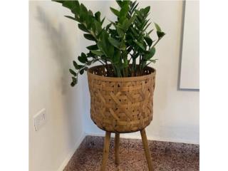 Tiesto rattan, patas madera (no planta), Puerto Rico