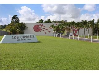 Panten lote Los Cipreses, Puerto Rico