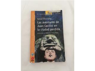 Las aventuras de Juan Cecilio en la ciudad pe