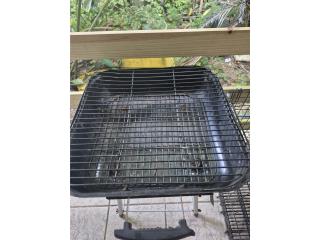 Bbq de carbon