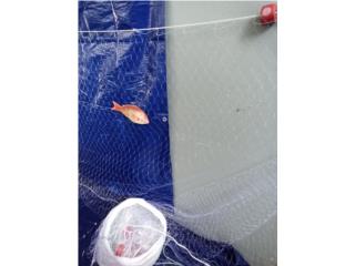 Trasmallo de 7' de alto 50'' x $160.00, Puerto Rico