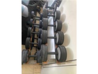 Technogym dumbbells