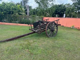 Carreta Bueyes