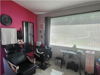 Sillas de salon 