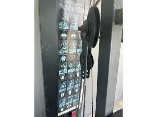 Se vende equipo de pesas $250