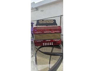 Acordeon