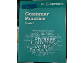 Into Literature Grammar Practice 8vo