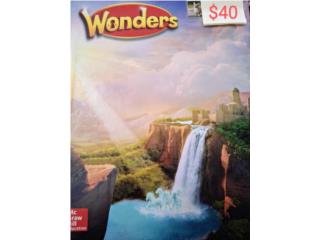 Wonder 