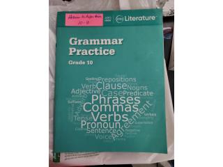 Into Literature Grammar Practice 10