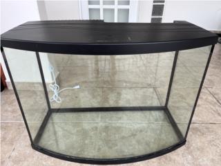 Pecera Bow Front
