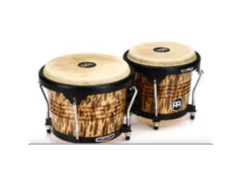 Bongo Meinl , Puerto Rico