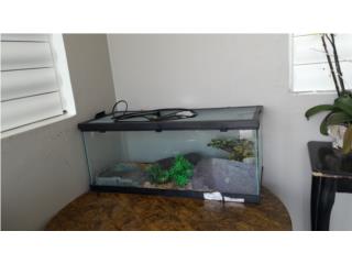 Pecera para reptiles o anfibios, Puerto Rico