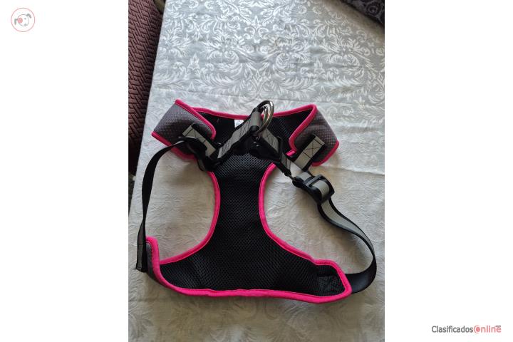 Collar para perra grande, Puerto Rico