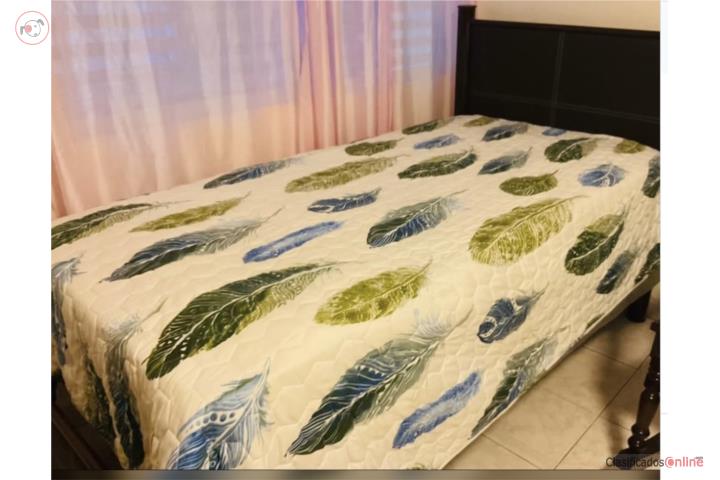 Cama Twin , Puerto Rico