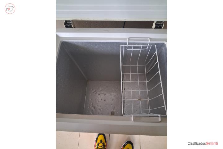 Freezer pequeño, Puerto Rico