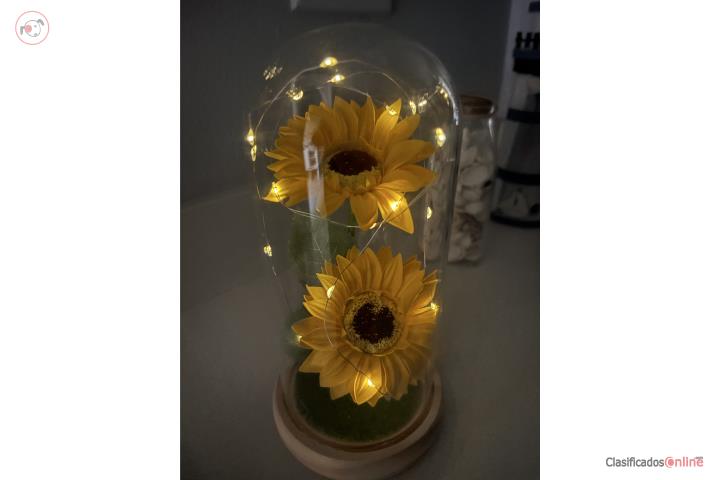 Decoración Girasol , Puerto Rico