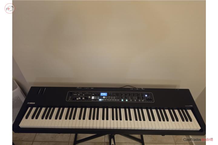 Yamaha CK 88- tecla pesada, Puerto Rico