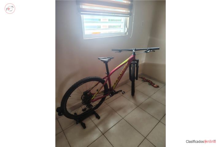 Excelente Bicicleta, Puerto Rico