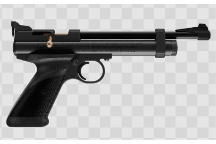 Pistola .22 CO2