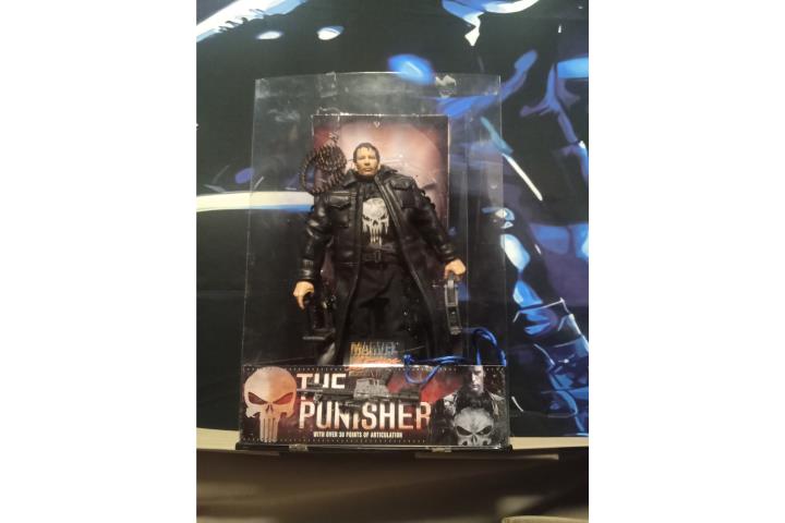 The punisher 2004