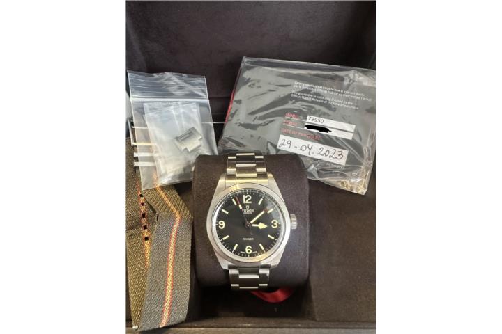 Tudor Ranger, Puerto Rico