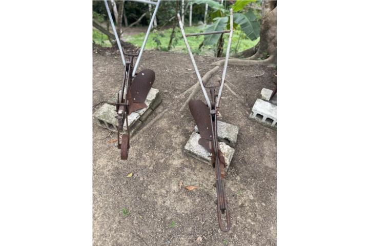 Para arar con bueyes o colección antiguo , Puerto Rico