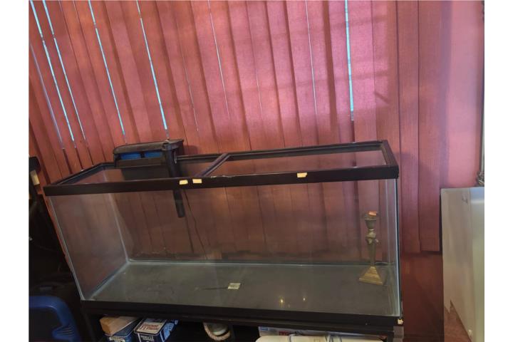 Pecera con filtro, Puerto Rico