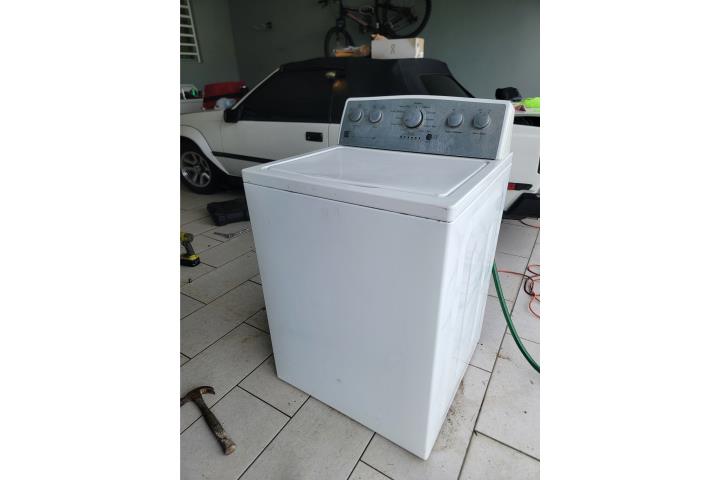 Labadora , Puerto Rico