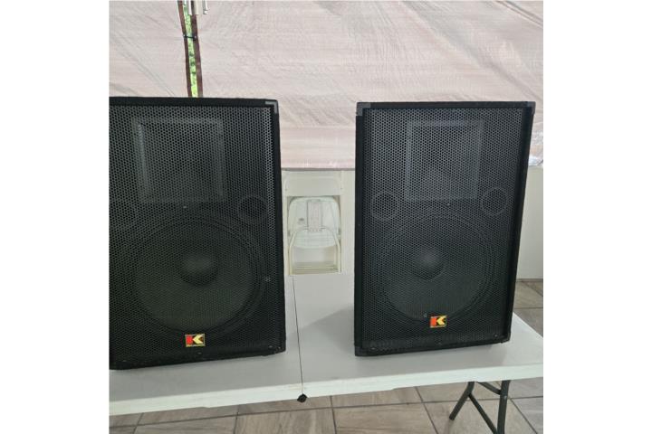 Bocinas de 300watts de 15