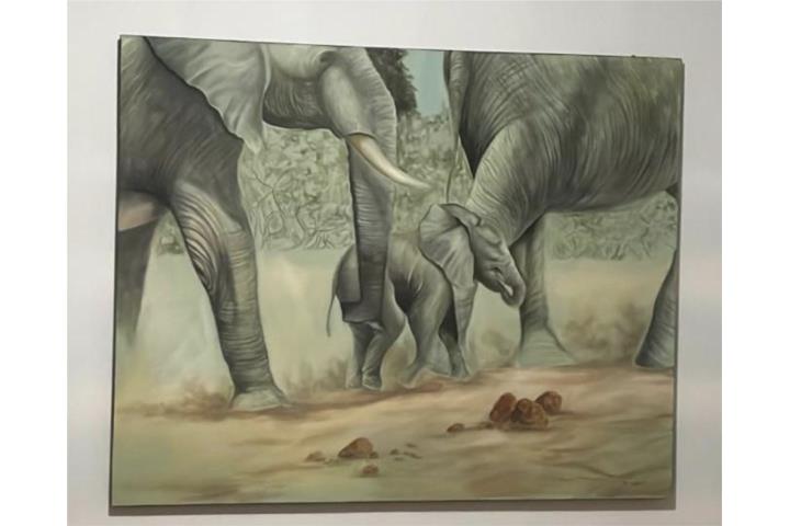 Lamparas, espejo, cuadro, gaveteros, Puerto Rico