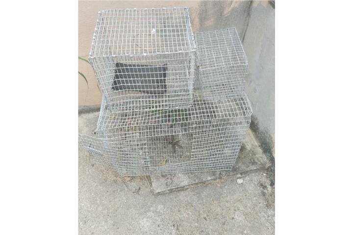 3 Jaulas, Puerto Rico