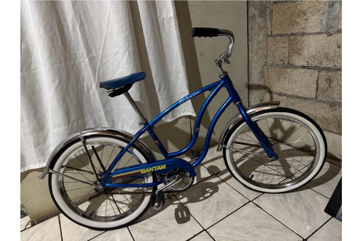 Schwinn bantam 20