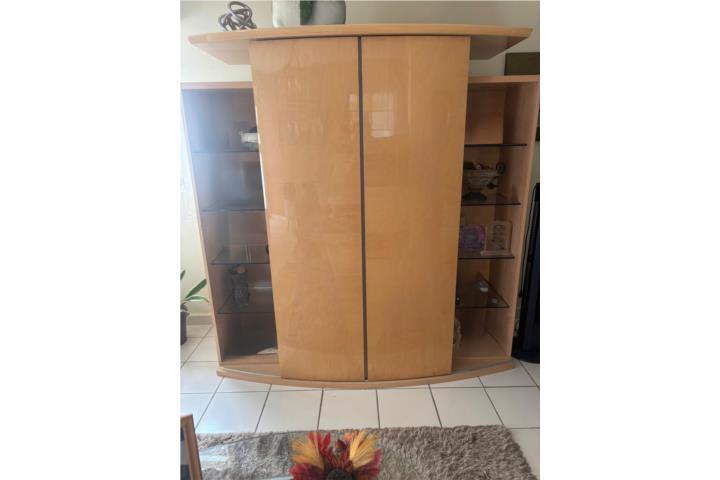 TV Stand with doors to hide TV