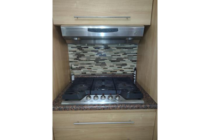 Tope de Gas y Extractor Acero Inoxidable 30
