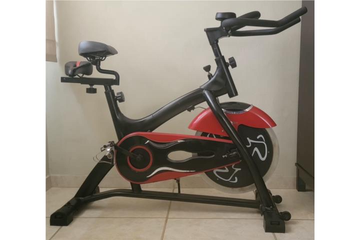 Bicicleta Spinning Profesional 2 Asientos, Puerto Rico