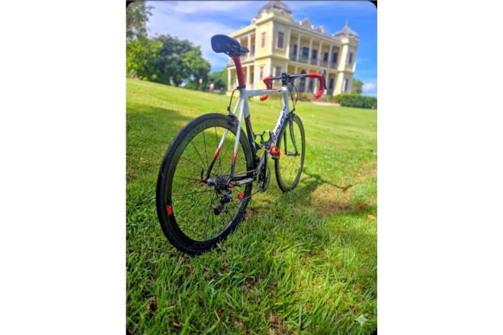 Ridley icarus SLS , Puerto Rico
