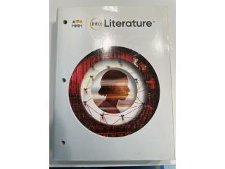 Into Literature