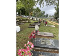 Panteon Lotes Cementerio, Puerto Rico