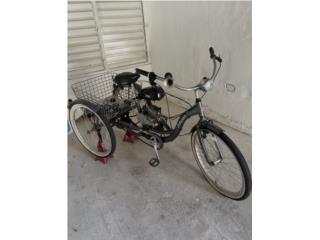 Schwann Meridian triciclo con motor gasolina